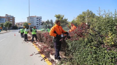 Eskişehir'de Budama Çalışmaları Hız Kesmeden Sürüyor