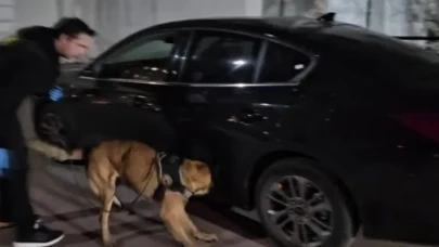 Bilecik’te ‘İntel’ İsimli Dedektör Köpeği Uyuşturucu Madde Ele Geçirdi