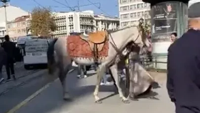 Şehir Merkezinde Gezdirilen Atlar Vatandaşların Dikkatini Çekti