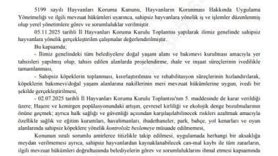 İstanbul Belediyesi’ne Yeni Talimat: Sokak Hayvanlarına Kontrolsüz Besleme Yasaklandı