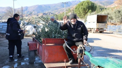 Kırsal Kalkınmaya Zeytin Fidanı Desteği: Başvurular O Tarihte Sona Eriyor