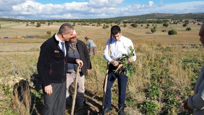 Kaymakam Alperen Teltik şeker pancarı tarlasında