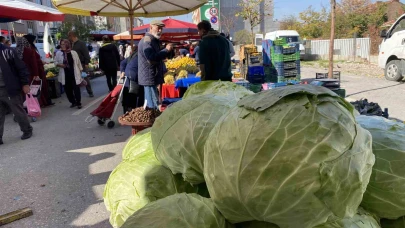 Devasa lahanalar pazardaki yerini aldı