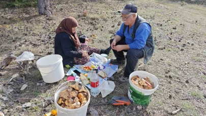 Hisarcık’ta yaşlı çiftin dağda başlayan mantar mesaisi