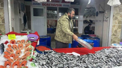 Balık pazarında hamsi revaçta