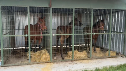 Çifteler’de 215 Kilo Kaçak At Eti Ele Geçirildi, İşletme Mühürlendi