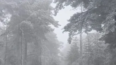 Eskişehir’e Mevsimin İlk Karı Düştü: Mihalıççık Beyaza Büründü!
