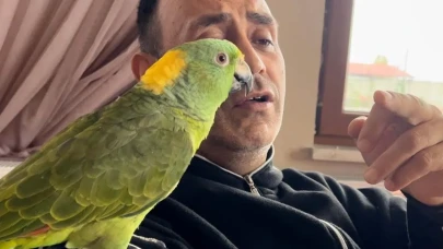 Papağan Memo Öldü mü Neden Öldü Son Dakika Gülen Papağan Memo Yaşıyor mu?
