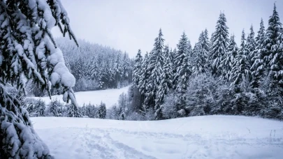 Bugün 29 Aralık Pazartesi Bilecik’te okul yok mu (KAR TATİLİ – BİLECİK VALİLİĞİ)?