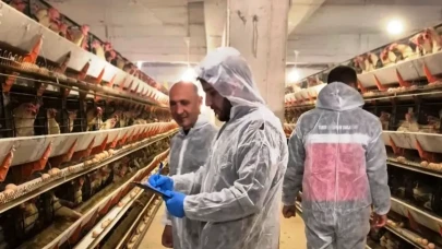 Yumurtacı Tavukçuluk Tesisinde Kapsamlı Kontrol!