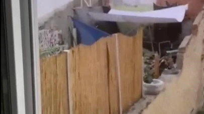 Köpeğe eziyet eden cani polis tarafından yakalandı