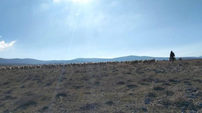Afyonkarahisar'da Geçici Maden Arama İzni Verilen Meralarda Kontroller Yapıldı
