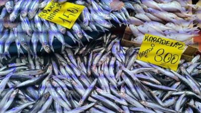 Balık Tezgâhları Soğuk Havayla Bereketlendi