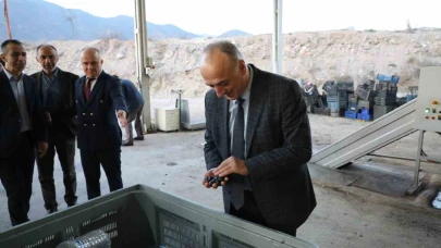 Sarıcakaya’da zeytin üretimi hızla büyüyor