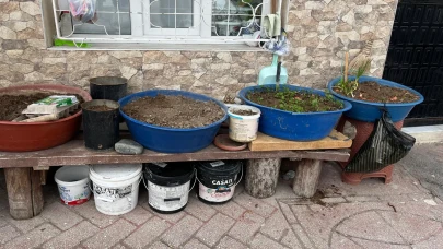 Eskişehirli Vatandaştan Sebze Üretimi: Leğende Doğa Mucizesi