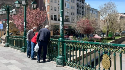 Dibi çekilen Porsuk, meraklı gözleri kendine çekti