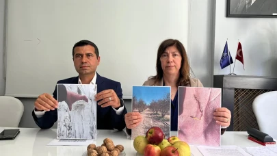 Dağtekin: “Bu yıl don, meyvecilikte yüzde yüz zarara yol açtı”