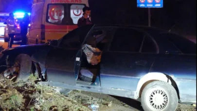 Tek Taraflı Kazada Sürücü Yaralandı, Yolcu Basına Engel Olmaya Çalıştı