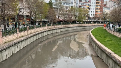 Porsuk Çayı'nda sıra dışı görüntü: Çalışmalar başladı