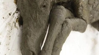 42 Bin Yıllık At Sibirya’da Donmuş Halde Bulundu