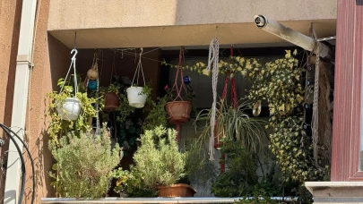 Eskişehir’de dikkat çeken balkon: Adeta bir botanik bahçeyi andırıyor