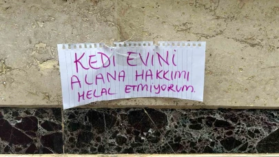 Eskişehir'de vatandaş kedi evini çalanlara hakkını helal etmedi