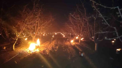 Eskişehir'de Kiraz Üreticilerine Zirai Don Uyarısı: 24 Bin SMS Gönderildi!