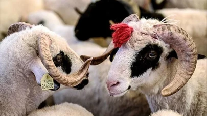Odunpazarı Belediyesi’nden bayram için ücretsiz ve randevulu hizmet