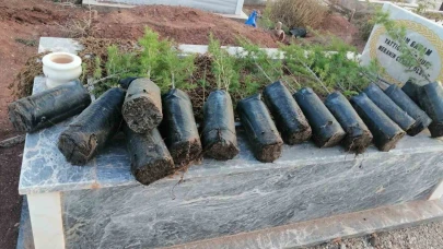 Eskişehir'de Anneler Günü’nde mezarlıkları yeşillendirdiler