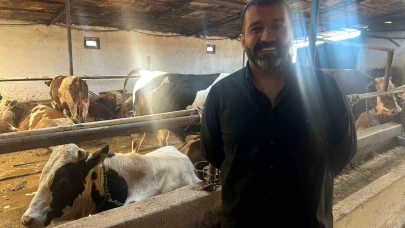 Eskişehir'de bayrama sayılı günler kala bazı üreticide kurbanlık hayvanlar tükendi