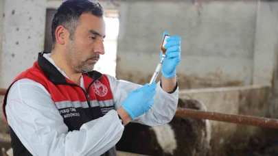 Eskişehir’de şap aşılama kampanyası yüzde 100 başarıyla tamamlandı