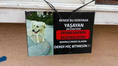 Zehirlendiği iddia edilen köpeğin fotoğrafıyla asılan not göze çarptı