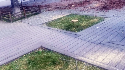 Başkan Vural’dan Hamamyolu’ndaki Ağaç Kesimine Sert Tepki