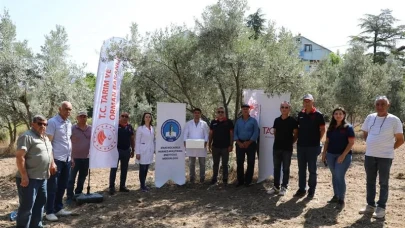 Eskişehir’de Kahverengi Kokarca’ya Karşı Samuray Arısı ile Biyolojik Mücadele