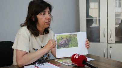 Eskişehir'de kahverengi kokarca tarımı vurdu