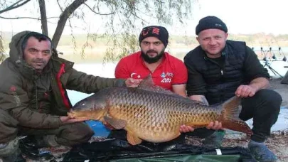 Bilecik'te Büyük Sazan Balıkları Göle Salındı