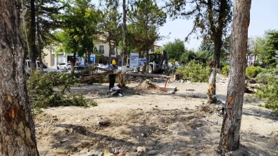Çifteler'de Ağaç Kesimlerine AK Parti'den Sert Tepki: "Yeşil Kıyımını Kabul Etmiyoruz"