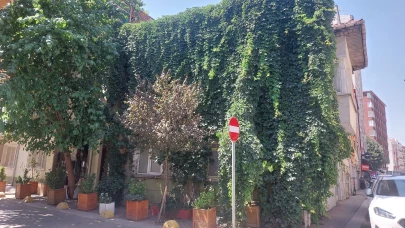 Eskişehir’de Sarmaşıklarla Kaplı Ev Doğayla Bütünleşti