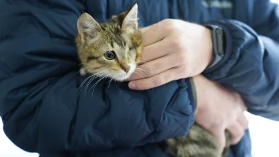 Tepebaşı’nda Binlerce Can Dost Sahiplendirildi