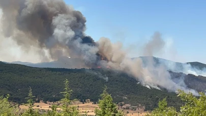 Seyitgazi’de Orman Yangını Kontrol Altına Alınamıyor