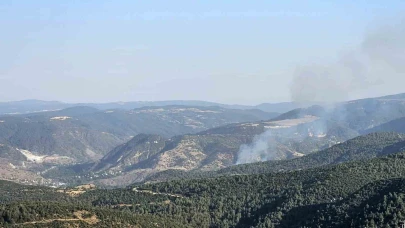 Bilecik Bekdemir Köyü’nde Çıkan Orman Yangını Kontrol Altına Alındı
