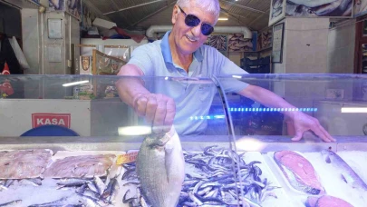Yazın en lezzetli balıklarında fiyatlar iki katına çıktı!