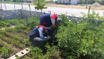 Küçük Ölçekli Üreticilere Destek Sağlayan Yeni Projeler Hayata Geçiyor!