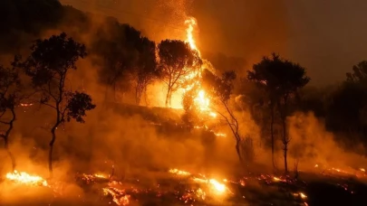 Eskişehir Valiliğinden Sıcak Hava ve Orman Yangını Uyarısı