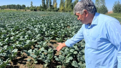 Çiftçilerin kullandığı kuyu suları 20 metreye kadar indi