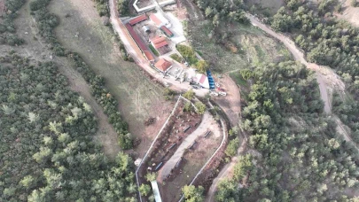 Bilecik’te Sokak Hayvanları İçin Yapılan Tedavi ve Rehabilitasyon Hizmetleri Açıklandı