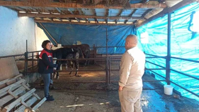 Afyonkarahisar’da besicilere ÇMVA desteği sürüyor