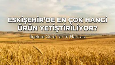 Eskişehir’de En Çok Hangi Ürün Yetiştiriliyor? İlçelere Göre Tarım Haritası
