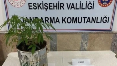 Eskişehir&#8217;de Uyuşturucuya Geçiş Yok