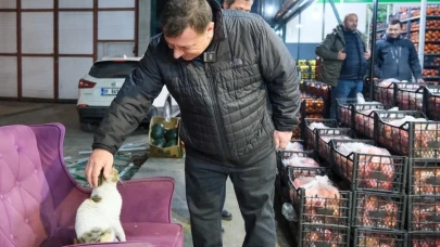 Eskişehir&#8217;de Sokak Hayvanlarına Özel Tesis